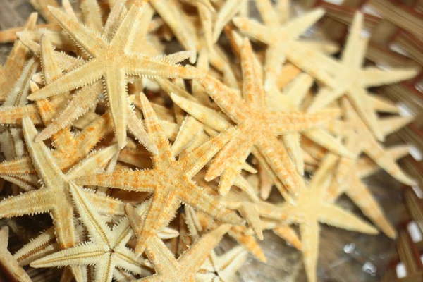 Ocean star bakrund — Stockfoto