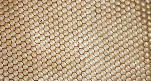 Текстура меда — стоковое фото
