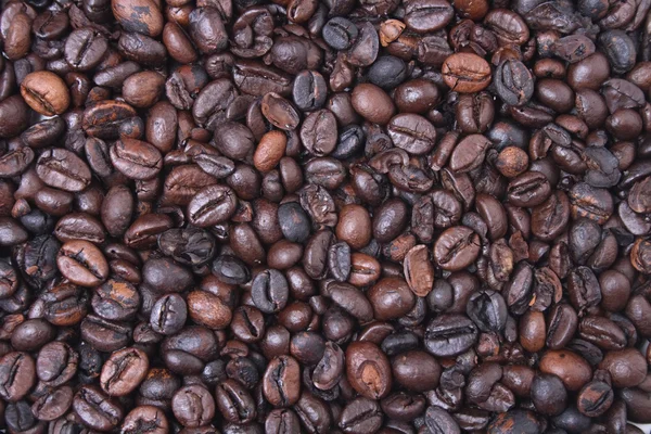 Coffea — стокове фото