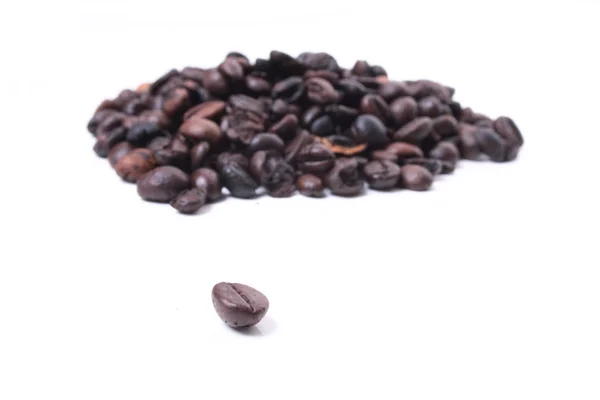 Coffea — Fotografie, imagine de stoc