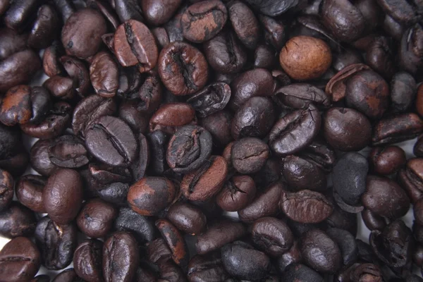 Cafea — Fotografia de Stock