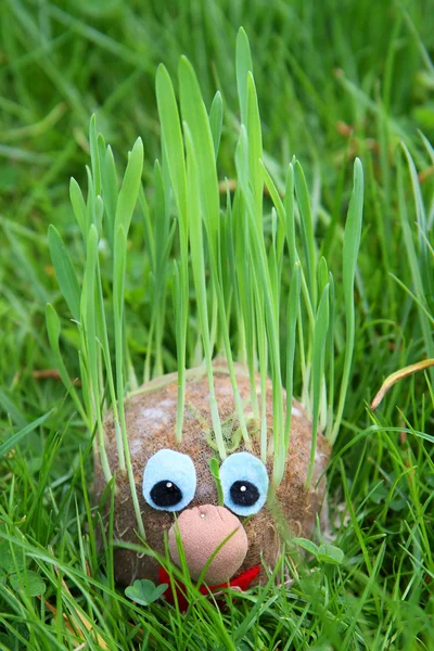 stock image Face with grass hair