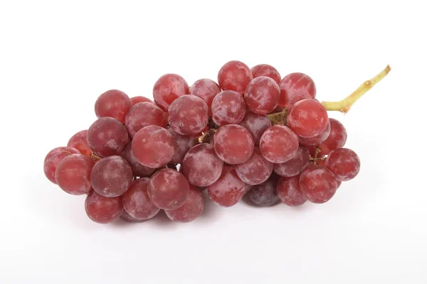 stock image Grapes