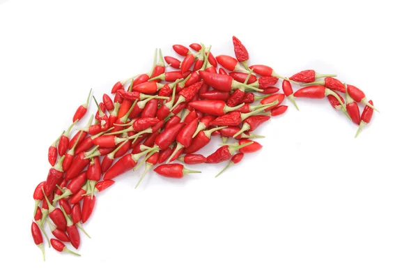 Spice (chili) background — Stock Photo, Image