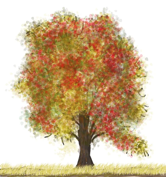 Φθινόπωρο δέντρο — Φωτογραφία Αρχείου