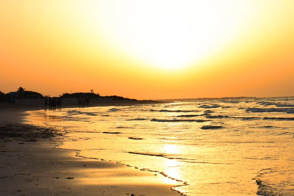 stock image Sunset on the beach