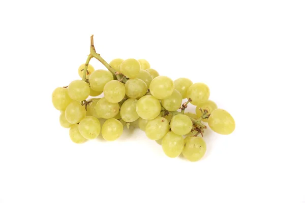 Stock image Grapes