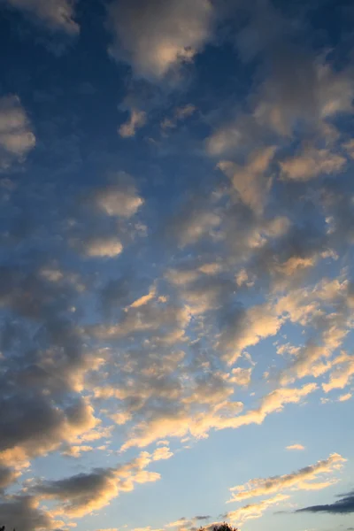 Overskyet himmel – stockfoto