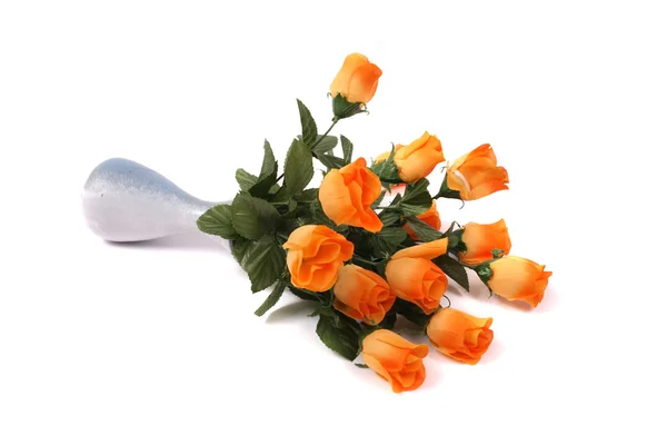 Roses on white — Stock Photo, Image