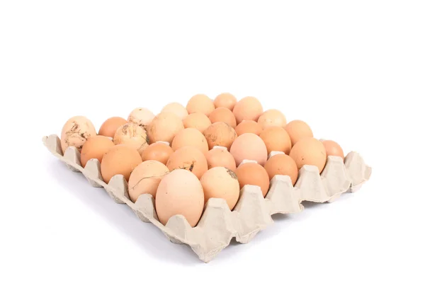 Eggs in the cartoon — Stock Photo, Image