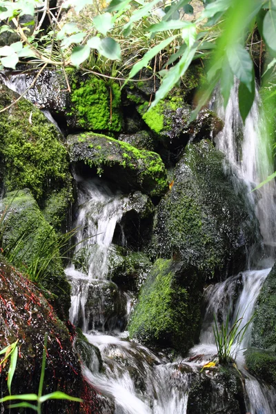 stock image Waterfalls in the nature