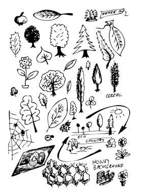 Small collection of hand drwan natural object clipart
