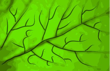 green leaf texture clipart