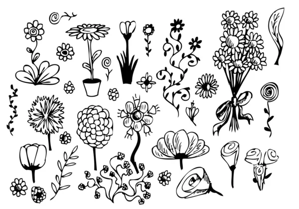 Hand drawn flowers — Stock Vector