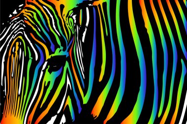 zebra in rainbow colors clipart