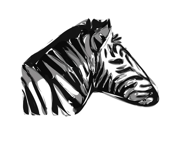 Very nice zebra head — Stock Vector