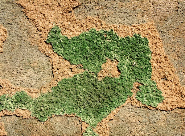 Giallo parete intonacata verde — Foto Stock