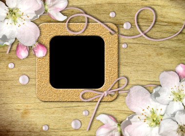 Vintage photo frames and quince tree flowers clipart