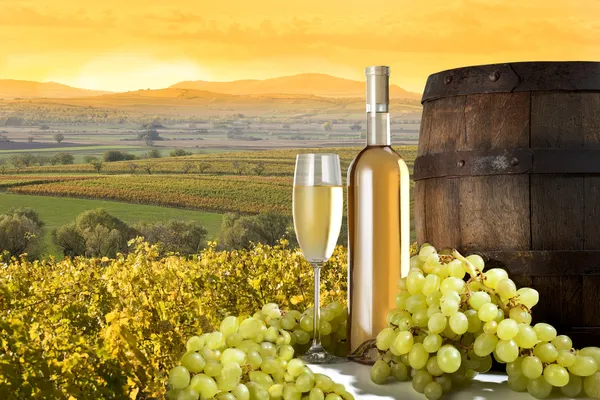 Натюрморт с белым вином и виноградником — стоковое фото