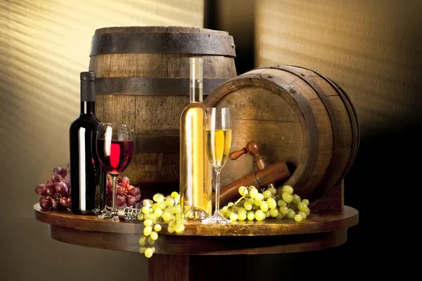 Zátiší s vínem — Stock fotografie
