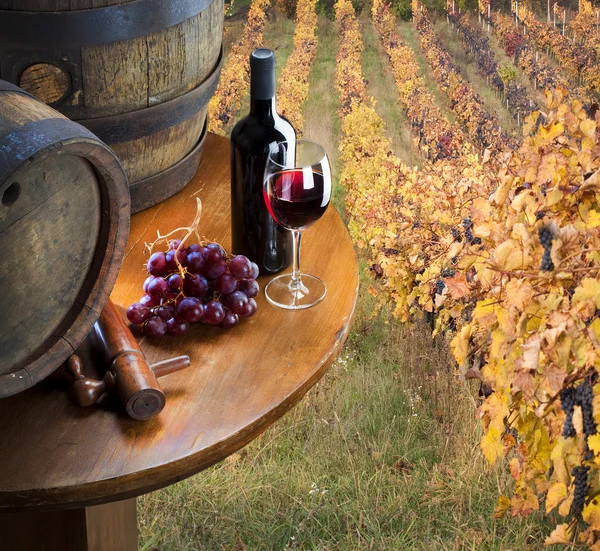 Bodegón con vino tinto en el viñedo — Foto de Stock