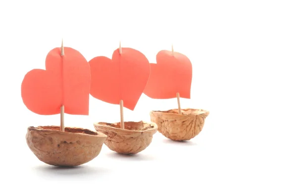 Plachetnice z ořechového dřeva — Stock fotografie