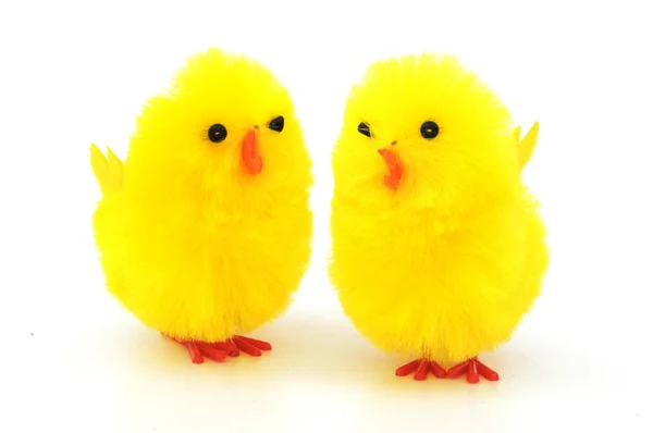 Decoraciones de pollo de Pascua — Foto de Stock