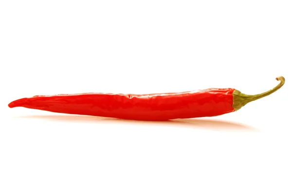 Chili vermelho isolado — Fotografia de Stock