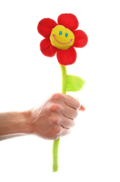 Рука, держащая цветок — стоковое фото