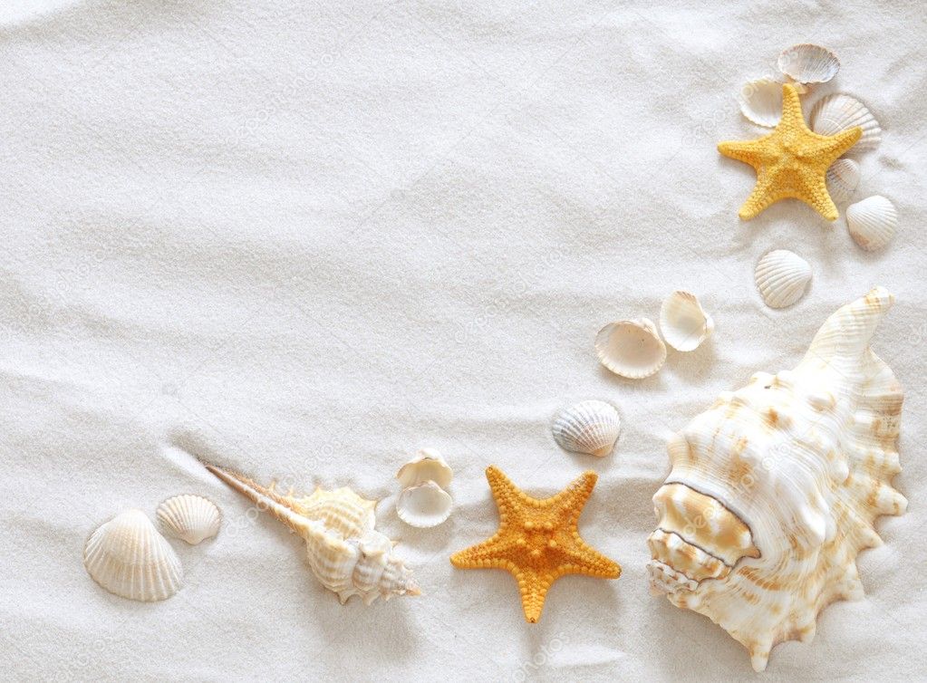 Beach with seashells