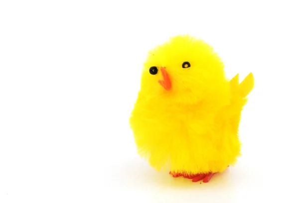 Decoraciones de pollo de Pascua —  Fotos de Stock