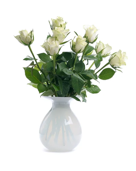 Белые розы в вазе — стоковое фото