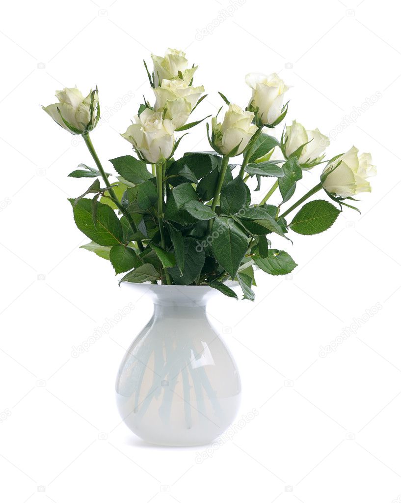 White roses in vase — Stock Photo © natlit 5424131