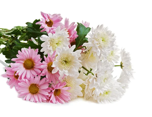 Букет розовых и белых хризантем — стоковое фото