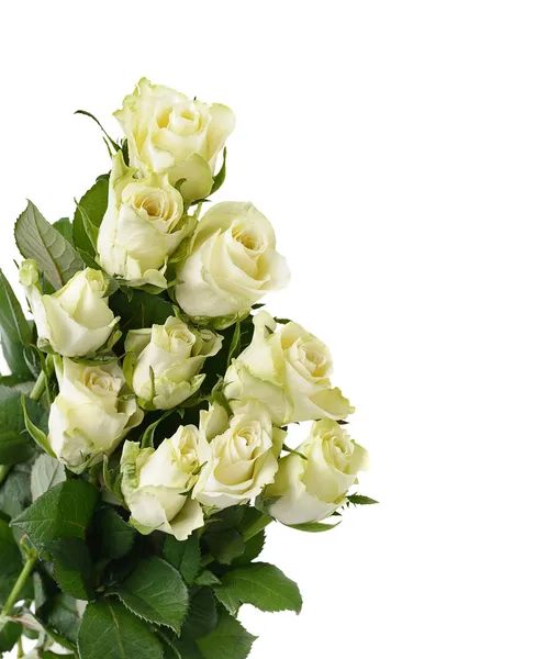 Strauß weißer Rosen — Stockfoto