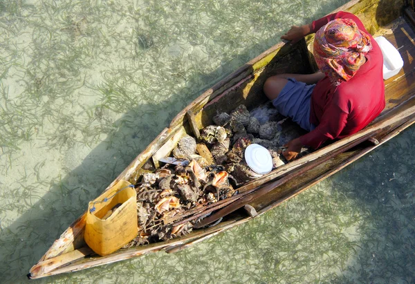 Γυναίκα τσιγγάνων στη θάλασσα πώληση φρέσκο καβούρι. Royalty Free Εικόνες Αρχείου