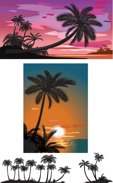 Palmiers au coucher du soleil — Image vectorielle