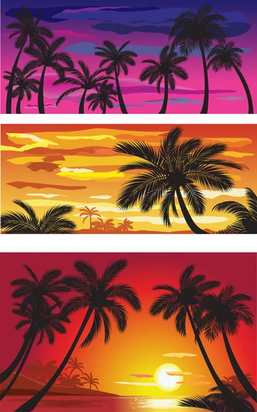 Landskap med palmer vid solnedgången — Stock vektor