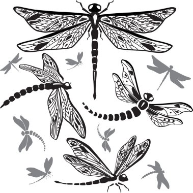 Set of decorative dragonflies clipart
