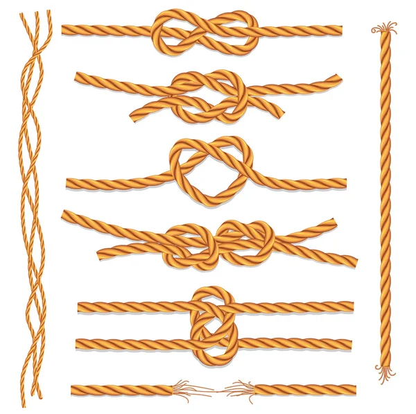 Set of ropes and knots — Stock Vector