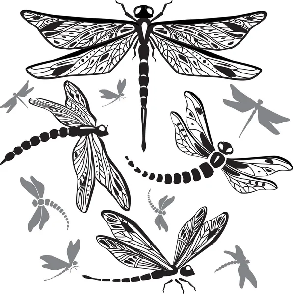 Ensemble de libellules décoratives — Image vectorielle