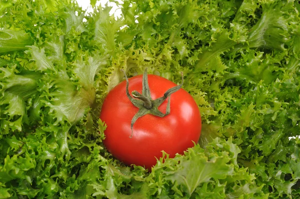 Зеленый салат с красным помидором изолированы на белом фоне — стоковое фото