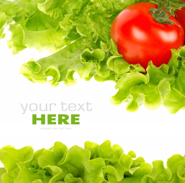 Tomato and salad leaf — Stock Photo, Image