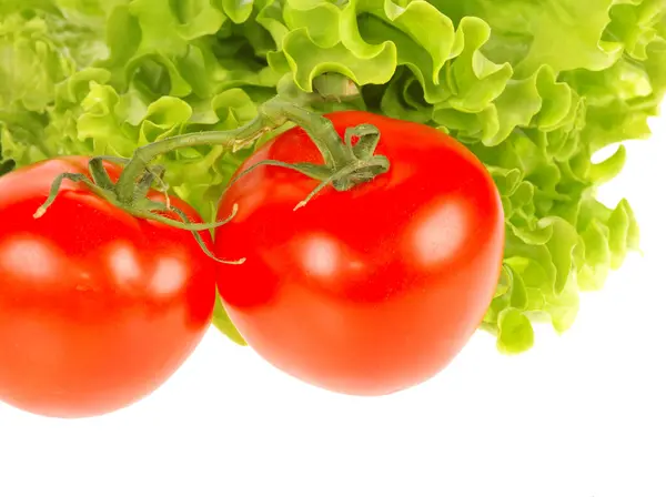 Sałatka z pomidorów i liść — Zdjęcie stockowe