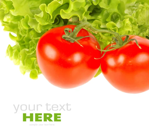 Feuille de tomate et salade — Photo