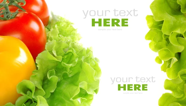 Tomate e folha de salada — Fotografia de Stock