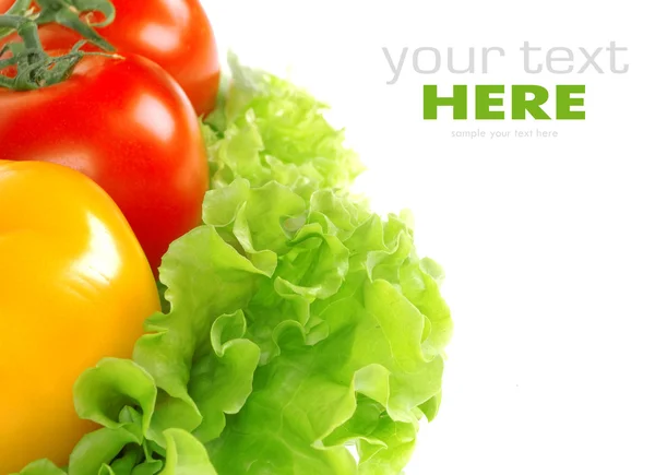 Tomate e folha de salada — Fotografia de Stock