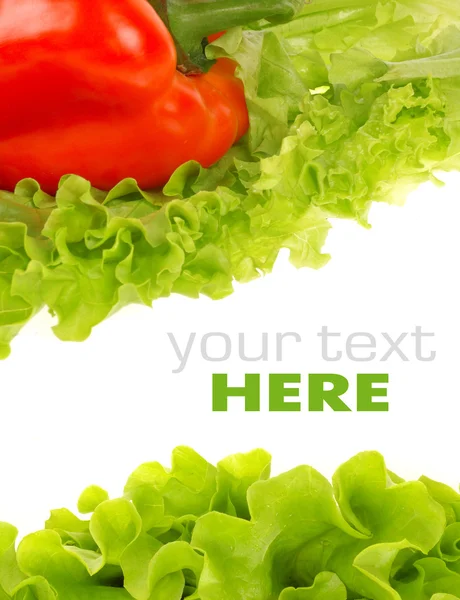 Paprika und Salatblatt isoliert auf weißem Hintergrund — Stockfoto