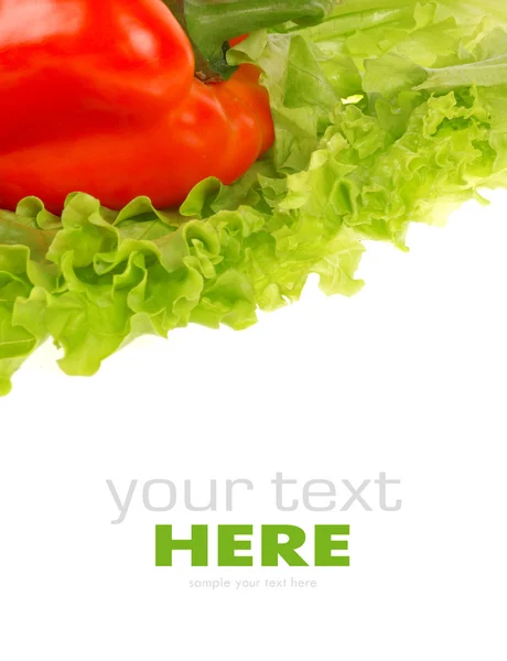 Paprika, és saláta levél elszigetelt fehér background — Stock Fotó
