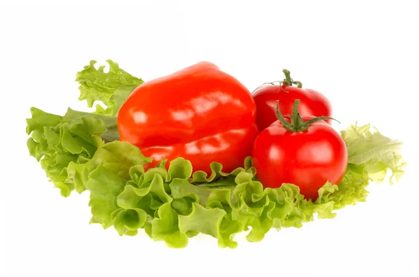 Sałatka z pomidorów i liść — Zdjęcie stockowe